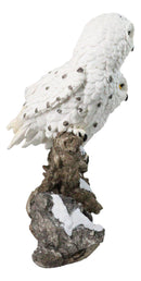12-Inch Snowy Winter Spotted Owl Couple Figurine on Snow-Covered Tree Branch