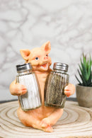 Cute Pig Salt and Pepper Shaker Holder Set with Glass Shakers, Smiling Porky Pig