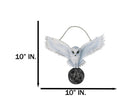 Snowy White Owl Pentagram Medallion Gothic Owl Wall Hanging Plaque 10"Long
