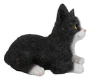 Lifelike Sitting Tuxedo Black and White Feline Kitten Cat Pet Pal Figurine