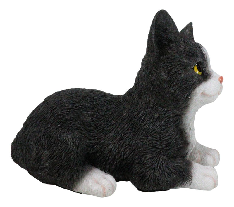 Lifelike Sitting Tuxedo Black and White Feline Kitten Cat Pet Pal Figurine