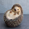 Lifelike Realistic Spinal Mammal Baby Hedgehog Lying On Back Decorative Figurine