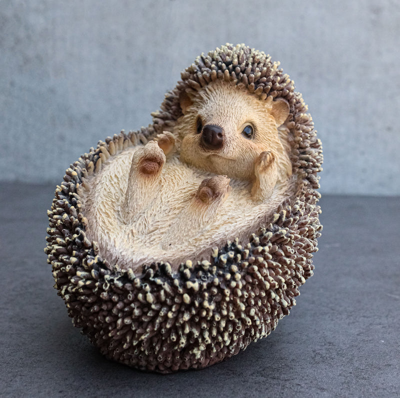 Lifelike Realistic Spinal Mammal Baby Hedgehog Lying On Back Decorative Figurine