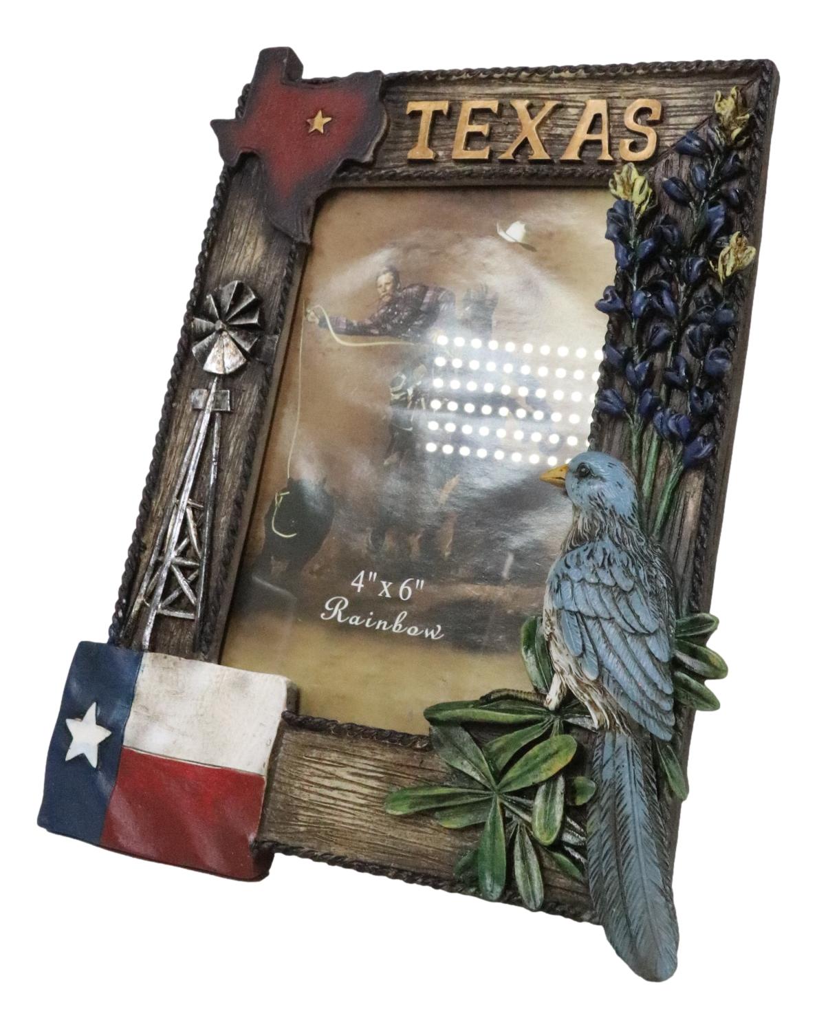 Rustic Western Patriotic Texas Mockingbird Windmill Bluebonnets Picture Frame - Ebros Gift