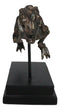 Jurassic T-Rex Tyrannosaurus Rex Dinosaur Fossil Skeleton Statue On Base Stand