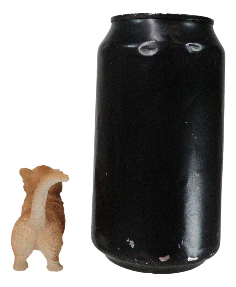 Realistic Curious Feline Orange Tabby Munchkin Cat Kitten Mini Figurine