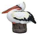 Coastal Marine Great White Pelican Sea Bird Perching On Getty Post Figurine