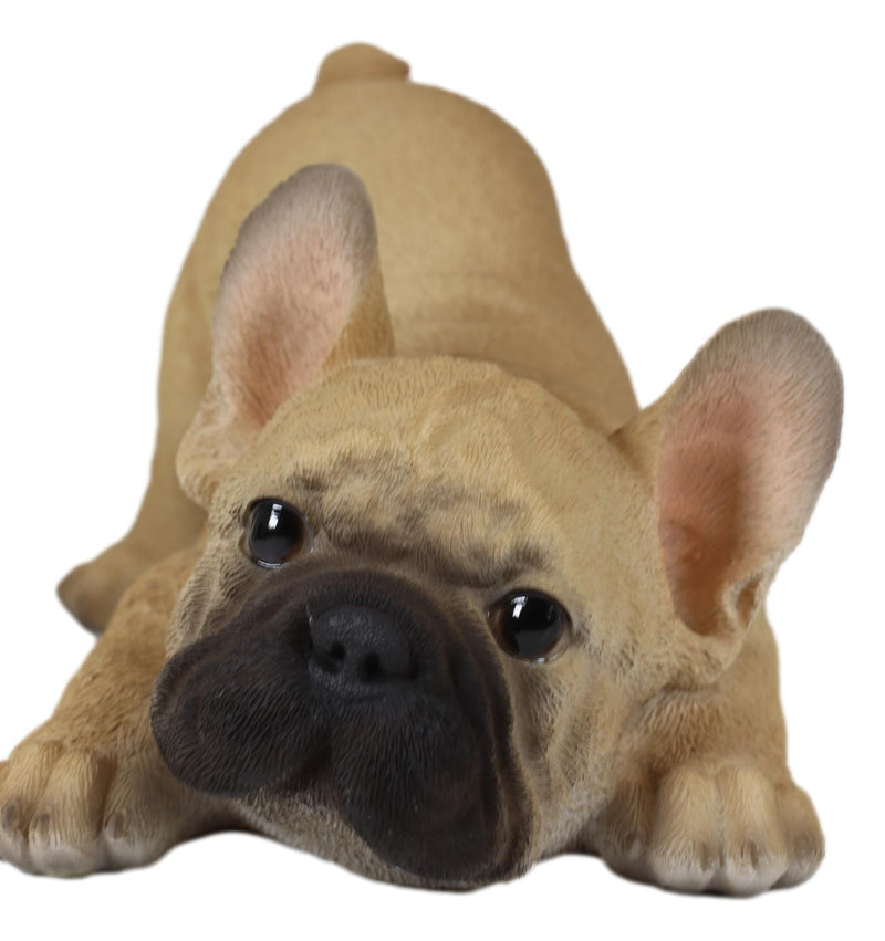 Realistic Lifelike Crouching French Bulldog Frenchie Puppy Figurine Decor