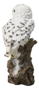 Mystical Tundra Forest Snow White Owls Couple On Tree Branch Figurine 6"H