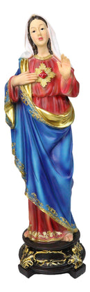 Catholic Church Sacred Heart of Mary Statue Devotion of Virgin Madonna 17"H