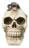 Ossuary Macabre Gothic Jointed Skull with Perching Crocodile Gator Figurine