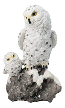 Snowy Owl Mother and Owlet Figurine on Snow-Covered Rock Nature Wildlife Bird