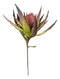Set of 6 Realistic Artificial Botanica Faux Plants Thistle Fern Grass Leaf Stems