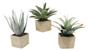 Set Of 3 Realistic Lifelike Artificial Botanica Succulents In Square Pots 11"H