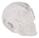 Set Of 12 Clear Translucent Witching Hour Gazing Skull Miniature Figurines 2.5"L