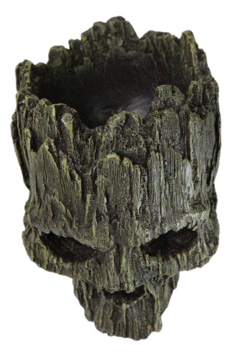 Mythical Greenman Tree Ent Skull Resin Bowl Garden Planter Figurine 7"Long