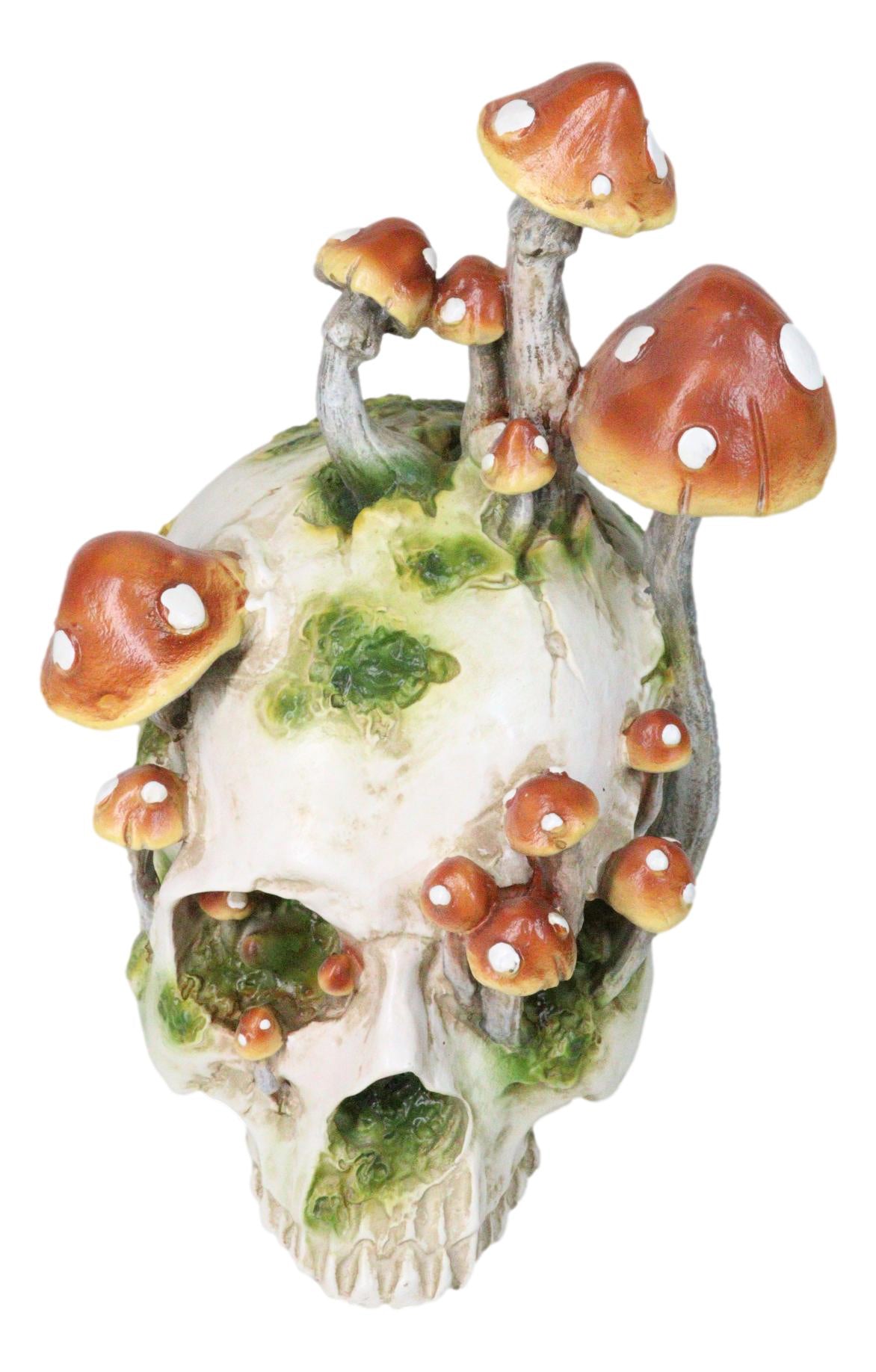 Large Day Of The Dead Toadstool Mushrooms And Moss Fungi Skull Figurine 11.5"H