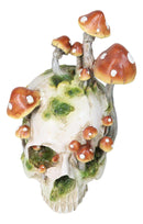 Large Day Of The Dead Toadstool Mushrooms And Moss Fungi Skull Figurine 11.5"H