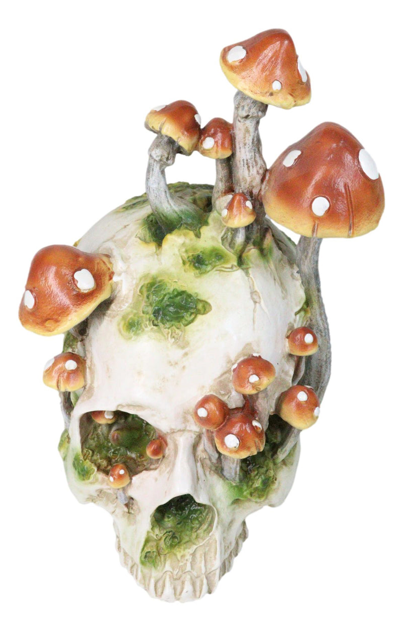 Large Day Of The Dead Toadstool Mushrooms And Moss Fungi Skull Figurine 11.5"H