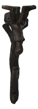 Pack of 2 Cast Iron Nature Flora Fauna Twig Branch Wall Shelf Brackets 7"H