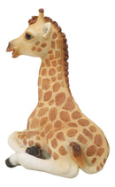 Wildlife Safari Savannah Masai Giraffe Calf Sitting in Repose Figurine 5.75"H