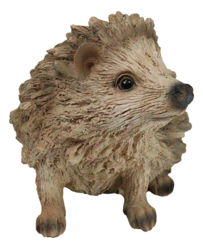 Realistic Faux Driftwood Finish Wild Spiny Mammal Hedgehog Animal Figurine 9"L