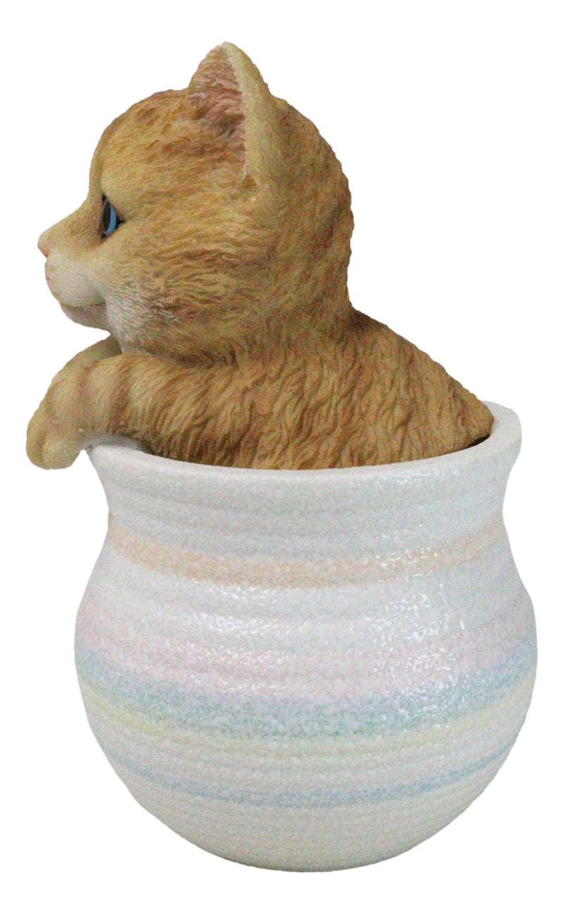 Lifelike Feline Kitty Orange Tabby Cat Blue Eyes In Pastel Artsy Pot Figurine