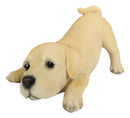 Realistic Adorable Crouching Fawn Golden Retriever Puppy Pet Dog Figurine