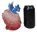 Whimsical Cute Blue Baby Dragon Hatchling in Crystal Icicle Red Egg Figurine
