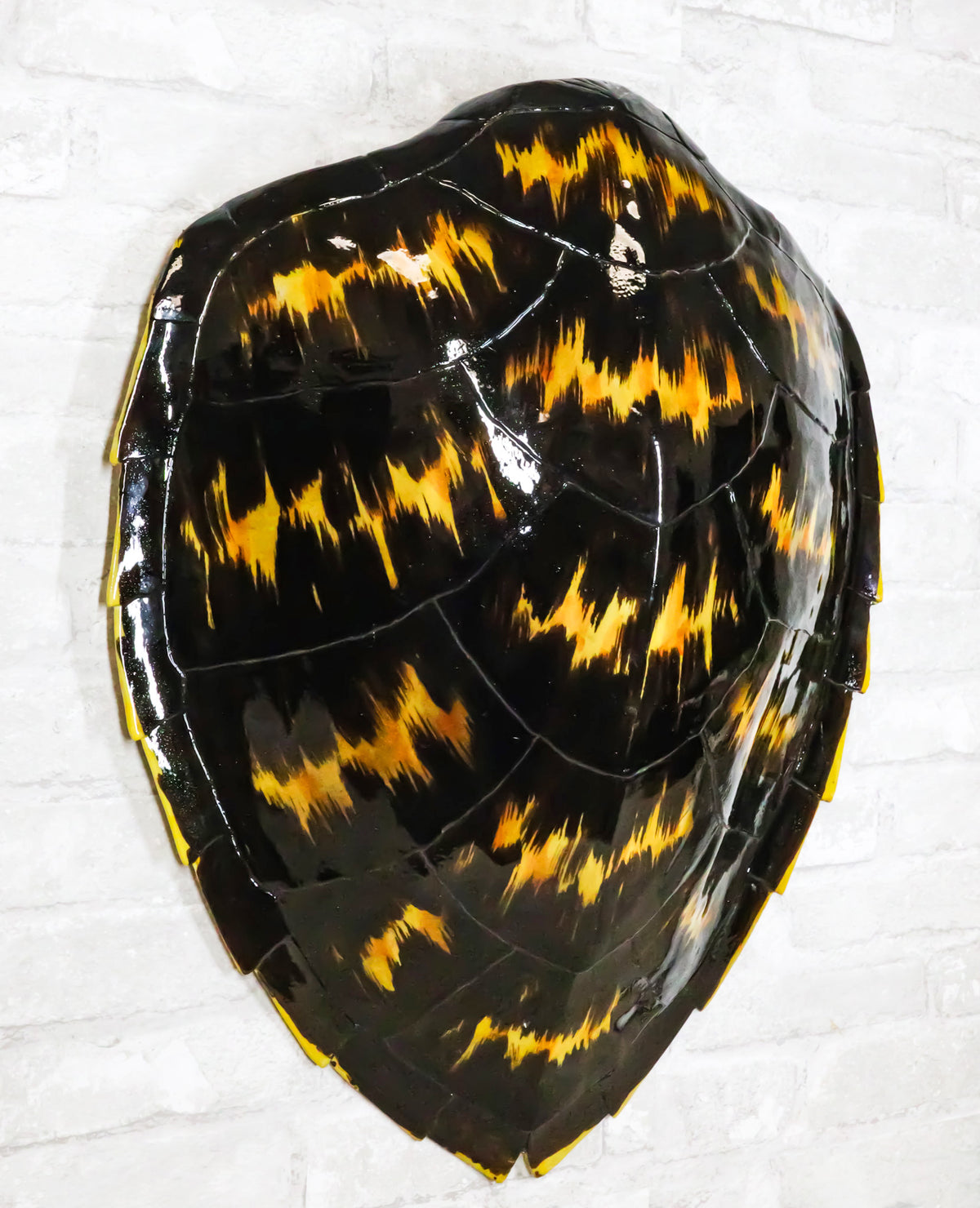 Large Nautical Marine Black Tone Faux Hawksbill Turtle Shell Replica Wall Decor - Ebros Gift