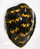 Large Nautical Marine Black Tone Faux Hawksbill Turtle Shell Replica Wall Decor