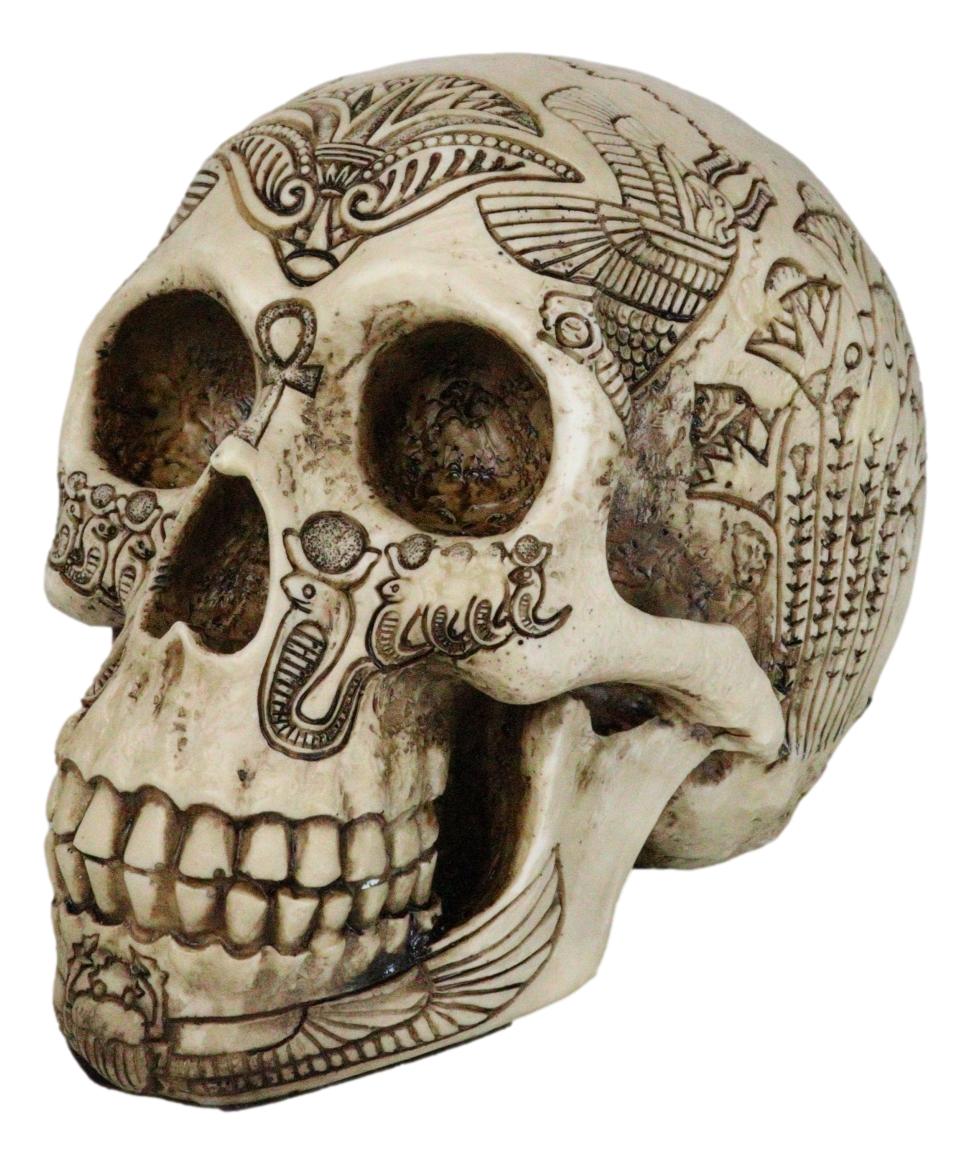 Ebros Bone Ancient Egyptian Gods Paranormal Voodoo Scarab Dung Beetle Skull Statue 8.5" Long Figurine - Ebros Gift