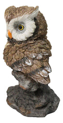 Whimsical Brown Great Horned Night Owl Perching On Tree Branch Figurine Decor