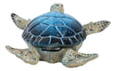 Marine Swimming Blue Shell Sea Turtle Decorative Jewelry Trinket Box Figurine