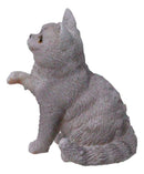 Realistic Feline British Shorthair Grey Kitty Cat Kitten Pawing Mini Figurine