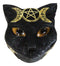 Wicca Magic Black Cat With Triple Moon Goddess Symbol Decorative Jewelry Box