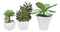 Set Of 5 Realistic Artificial Faux Botanica Succulents In Ceramic Mini Pots