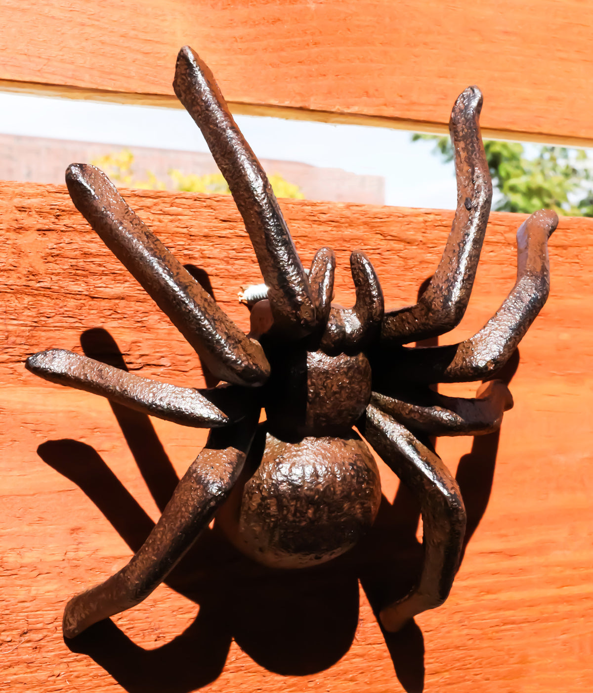 Cast Iron Bronze Finished Arachnid Spider Metal Wall Or Desktop Decor Sculpture