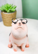 Adorable Realistic Animal Farm Napoleon Fat Piglet Pig Wearing Glasses Figurine