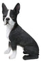 Large Realistic Tuxedo Boston Terrier Statue 15"Tall Animal Dog Collectible