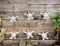 Set Of 6 Antique White Sea Turtles Ocean Marine Wall Hanger Decor Tree Ornaments