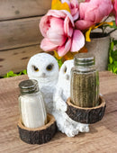 Wildlife Birds White Snowy Owl Couple Salt and Pepper Glass Shakers Holder