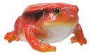 Amphibian Wild Creatures Realistic Northern Red Legged Frog Decorative Figurine