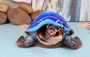 Nautical Ocean Blue Giant Sea Turtle Swimming Bobblehead Figurine Tortoise