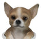 Pet Taco Chihuahua Teacup Puppy Dog Figurine With Glass Eyes Pup In Pot