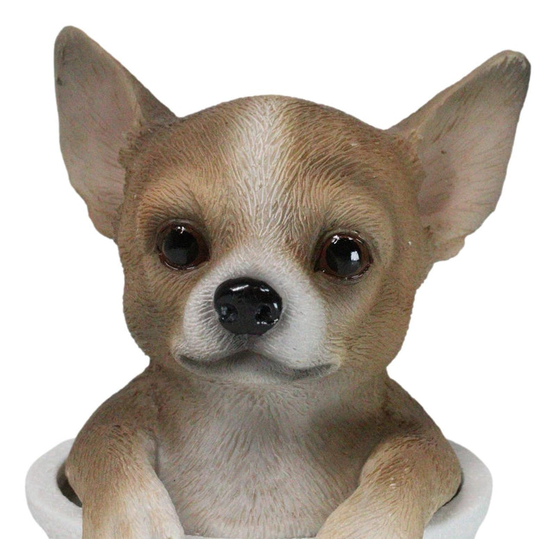 Pet Taco Chihuahua Teacup Puppy Dog Figurine With Glass Eyes Pup In Pot