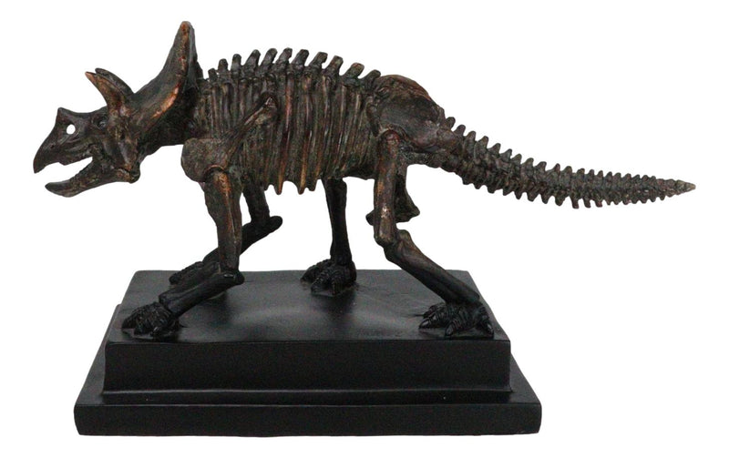 Faux Taxidermy Triceratops Dinosaur Fossil Figurine On Museum Display Base Stand