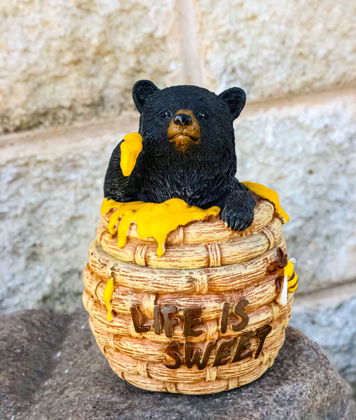 Western Forest Black Honey Pot Bear Life is Sweet Decorative Trinket Jewelry Box