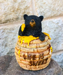 Western Forest Black Honey Pot Bear Life is Sweet Decorative Trinket Jewelry Box