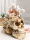 Marine Sea Explorer The Great Barrier Coral Reef Shells And Rocks Skull Figurine